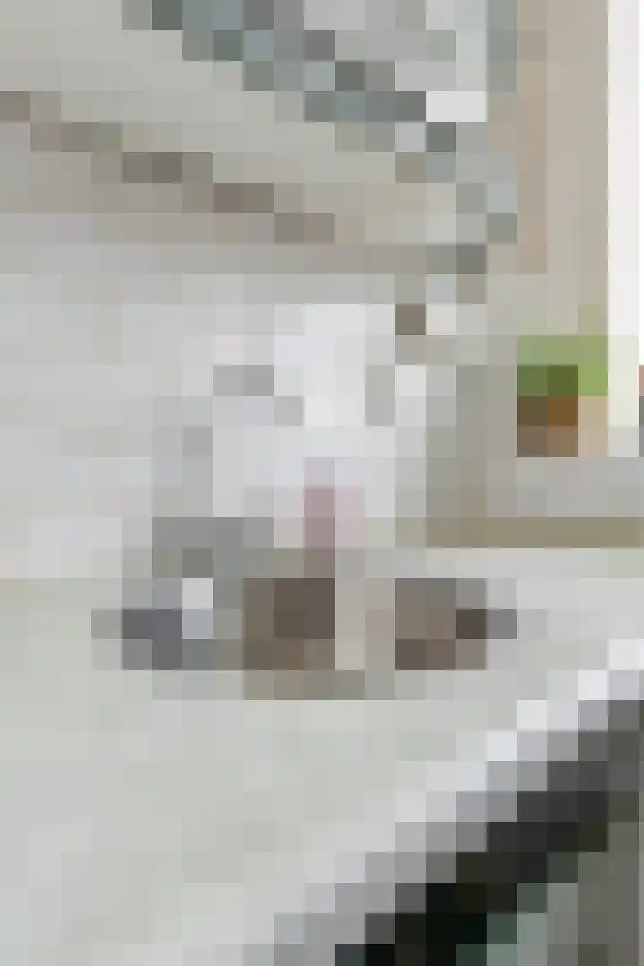Aart van der Leeuwkade 114 Voorburg thumbnail 36