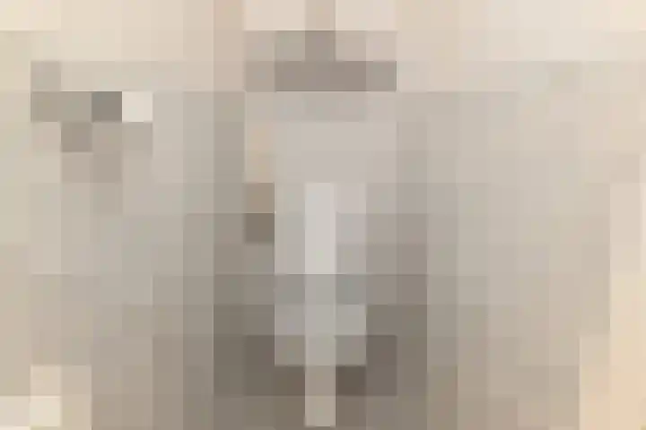 Aart van der Leeuwkade 114 Voorburg thumbnail 39