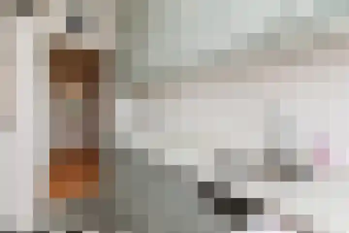 Aart van der Leeuwkade 114 Voorburg thumbnail 4