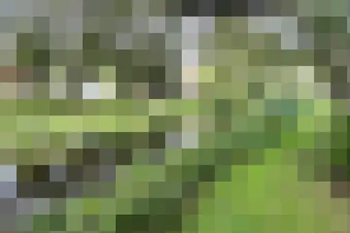 Aart van der Leeuwkade 114 Voorburg thumbnail 9