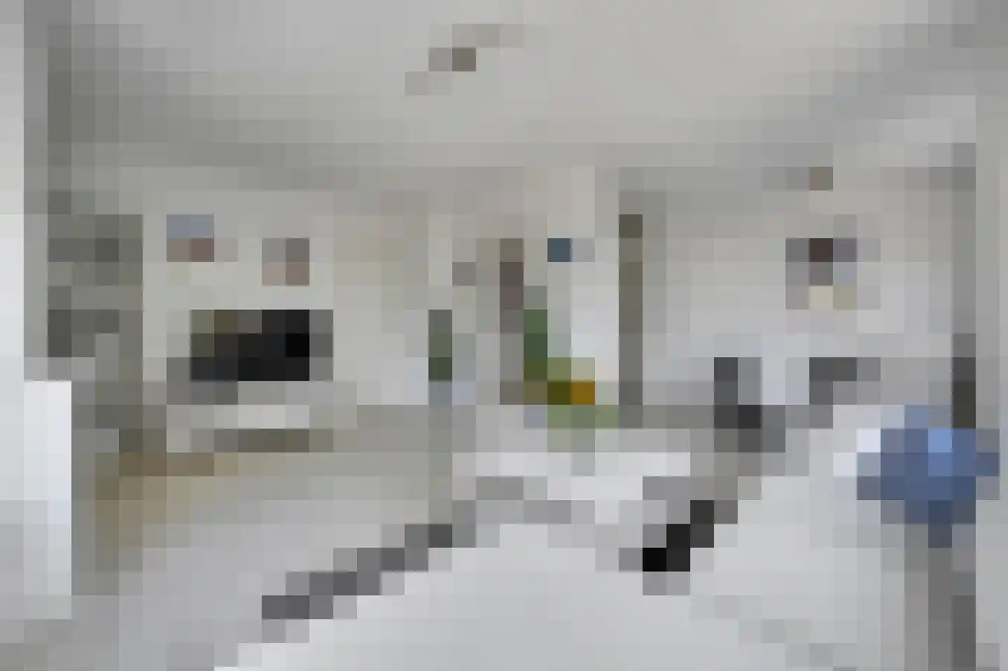 Aart van der Leeuwkade 123 Voorburg thumbnail 13
