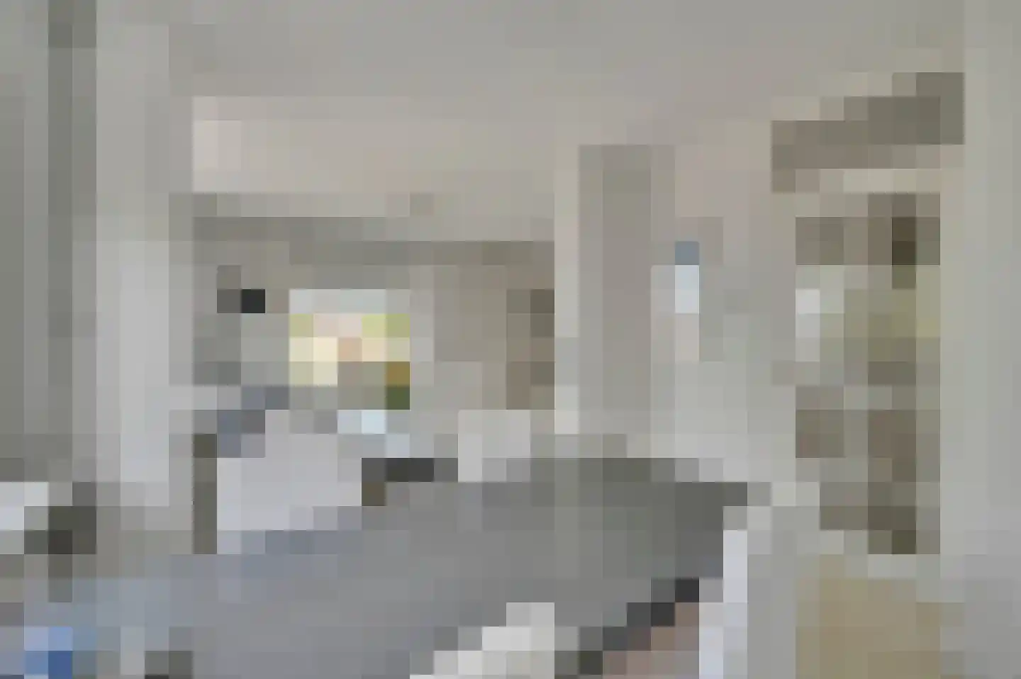 Aart van der Leeuwkade 123 Voorburg thumbnail 14