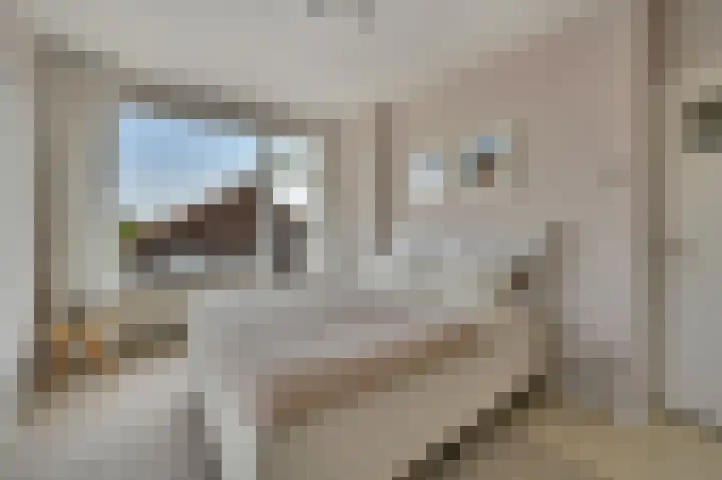 Aart van der Leeuwkade 123 Voorburg thumbnail 19