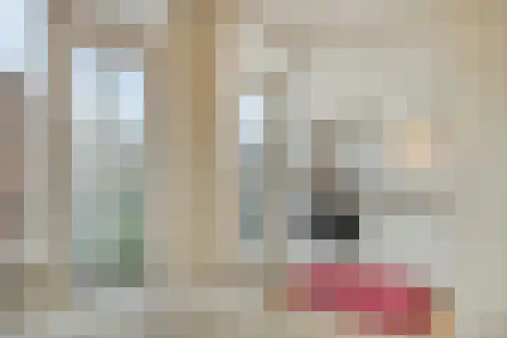 Aart van der Leeuwkade 124 Voorburg thumbnail 20