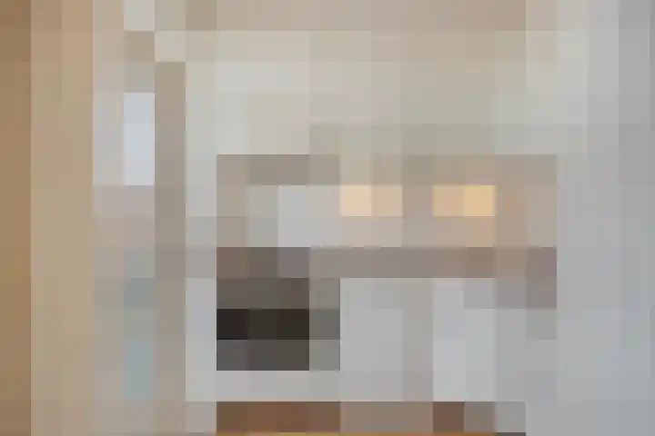 Aart van der Leeuwkade 124 Voorburg thumbnail 21