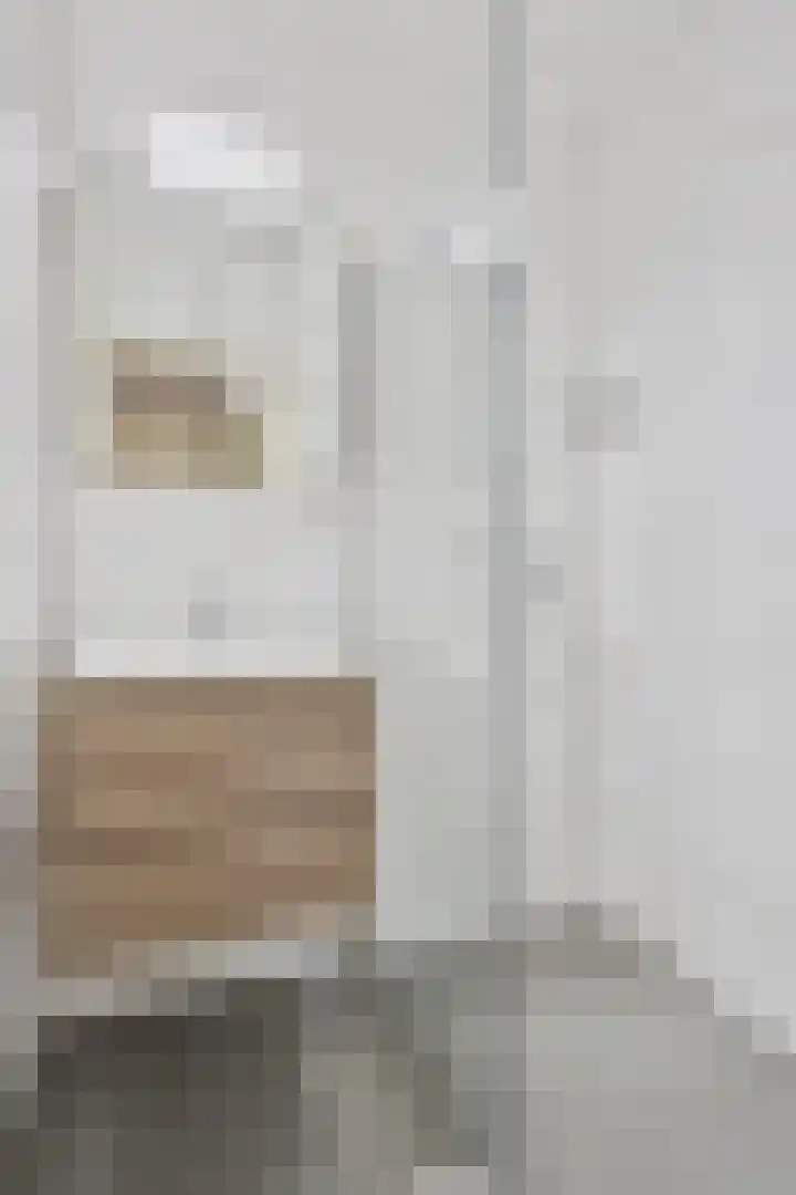 Aart van der Leeuwkade 124 Voorburg thumbnail 27