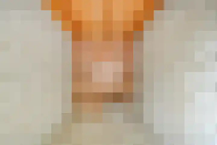 Aart van der Leeuwkade 124 Voorburg thumbnail 30