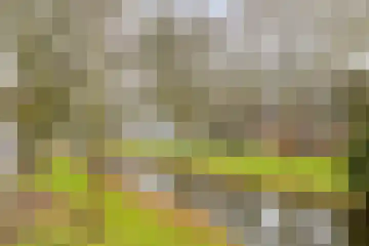 Aart van der Leeuwkade 124 Voorburg thumbnail 31
