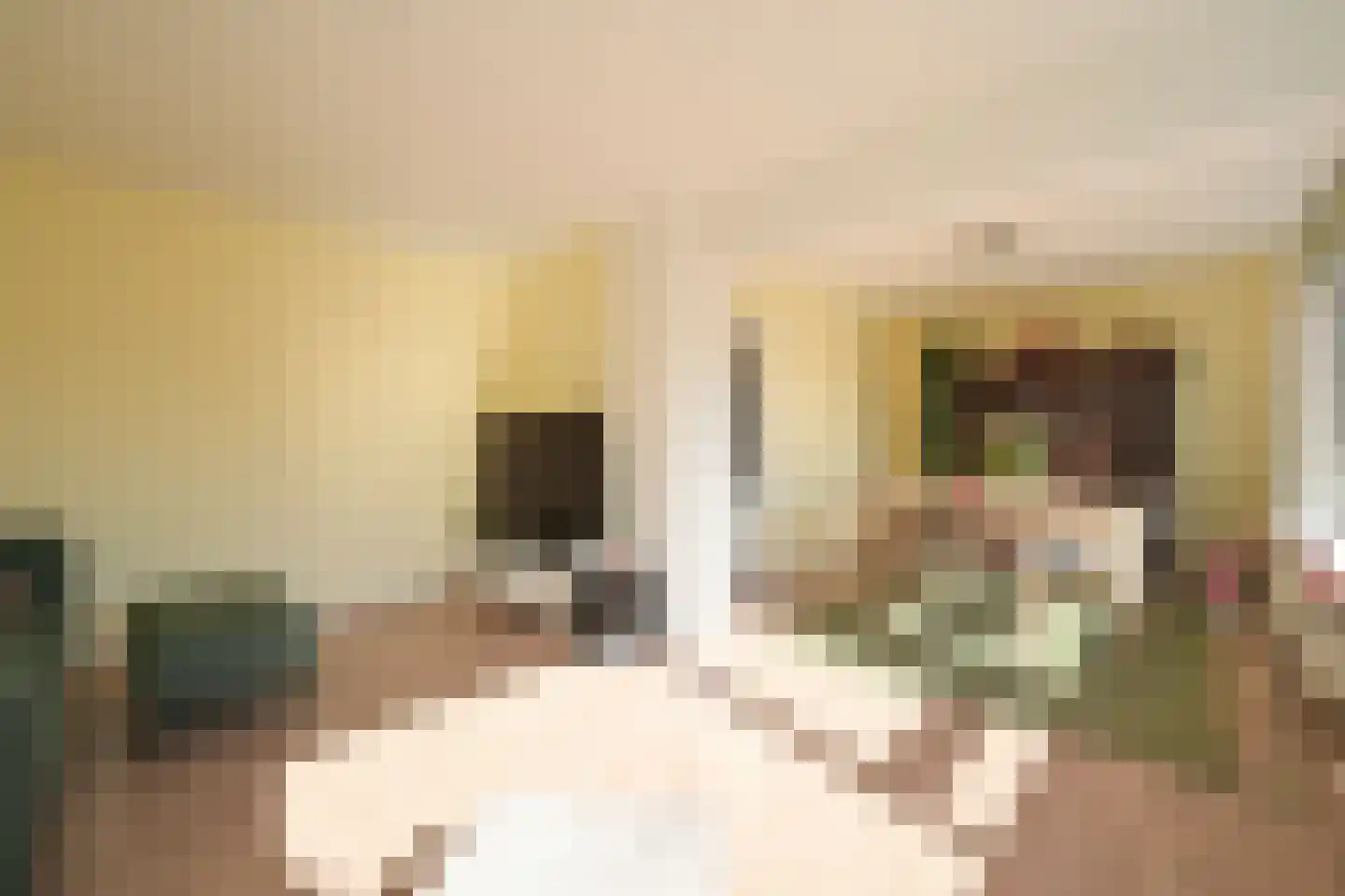 Aart van der Leeuwkade 27 Voorburg thumbnail 17