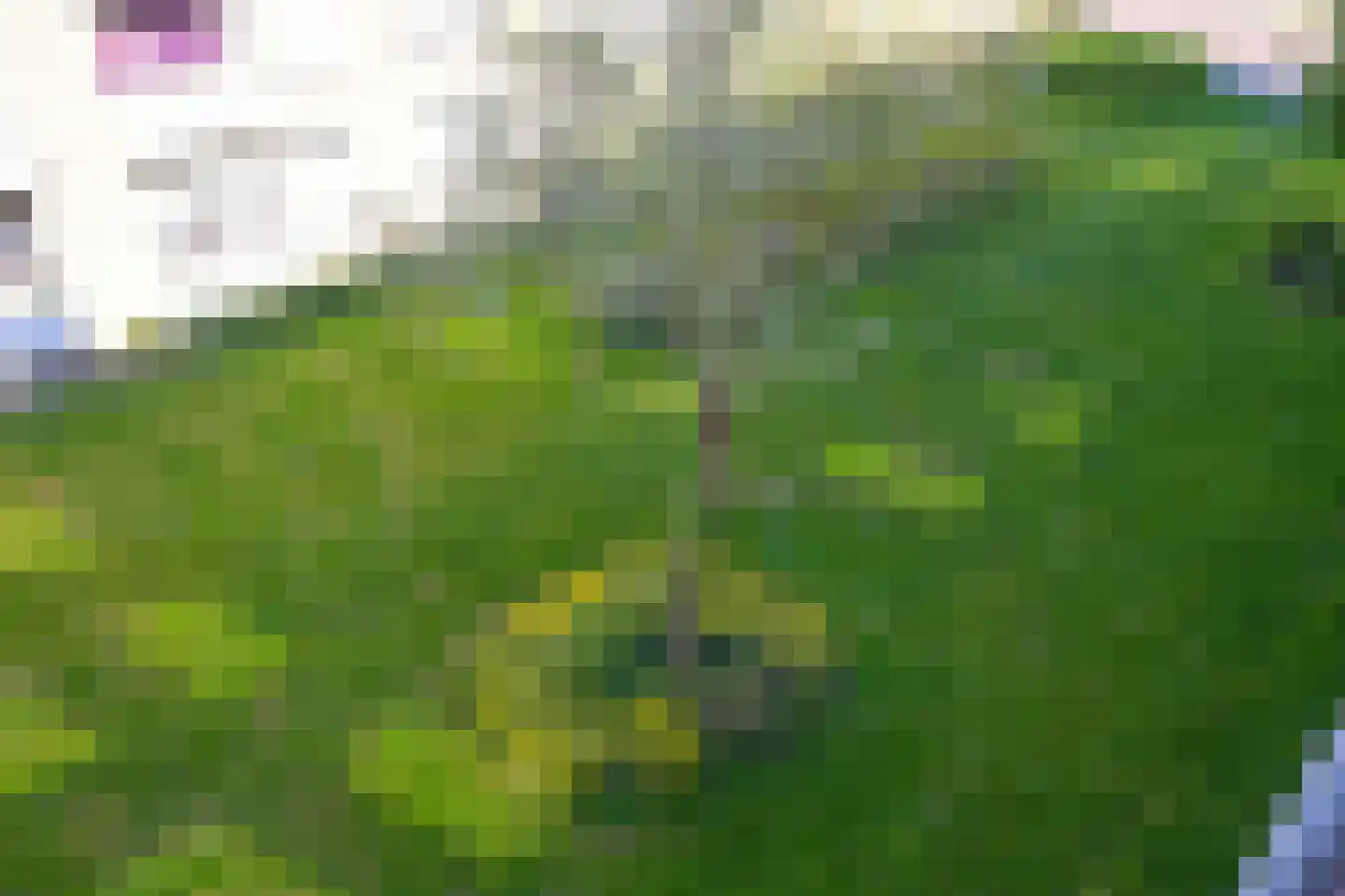 Aart van der Leeuwkade 27 Voorburg thumbnail 32