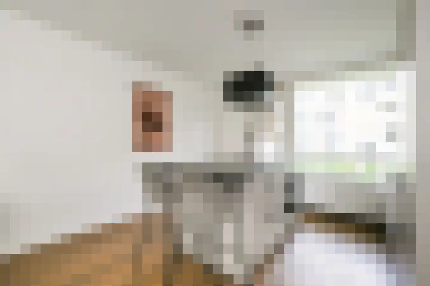 Aart van der Leeuwkade 30 Voorburg thumbnail 17