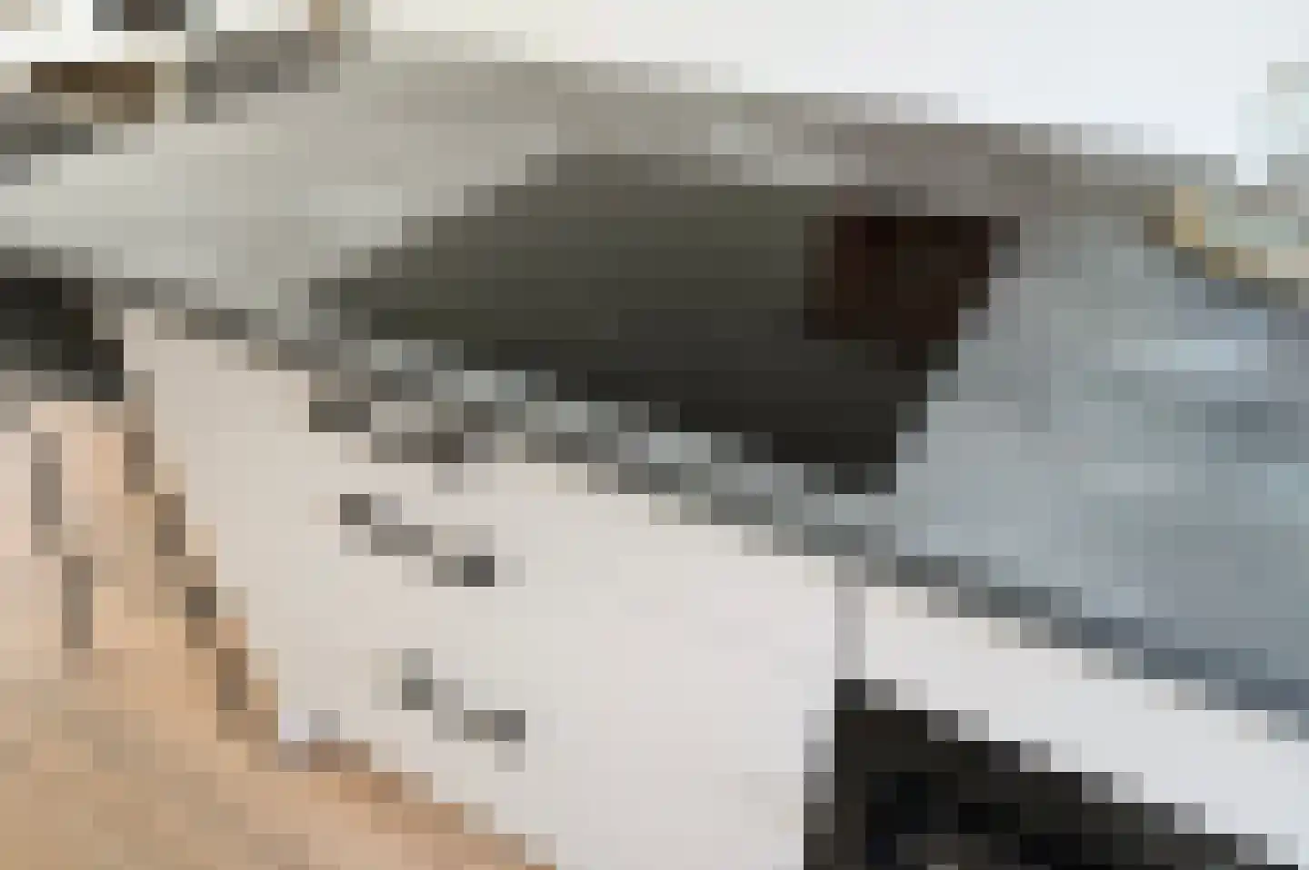 Aart van der Leeuwkade 30 Voorburg thumbnail 19