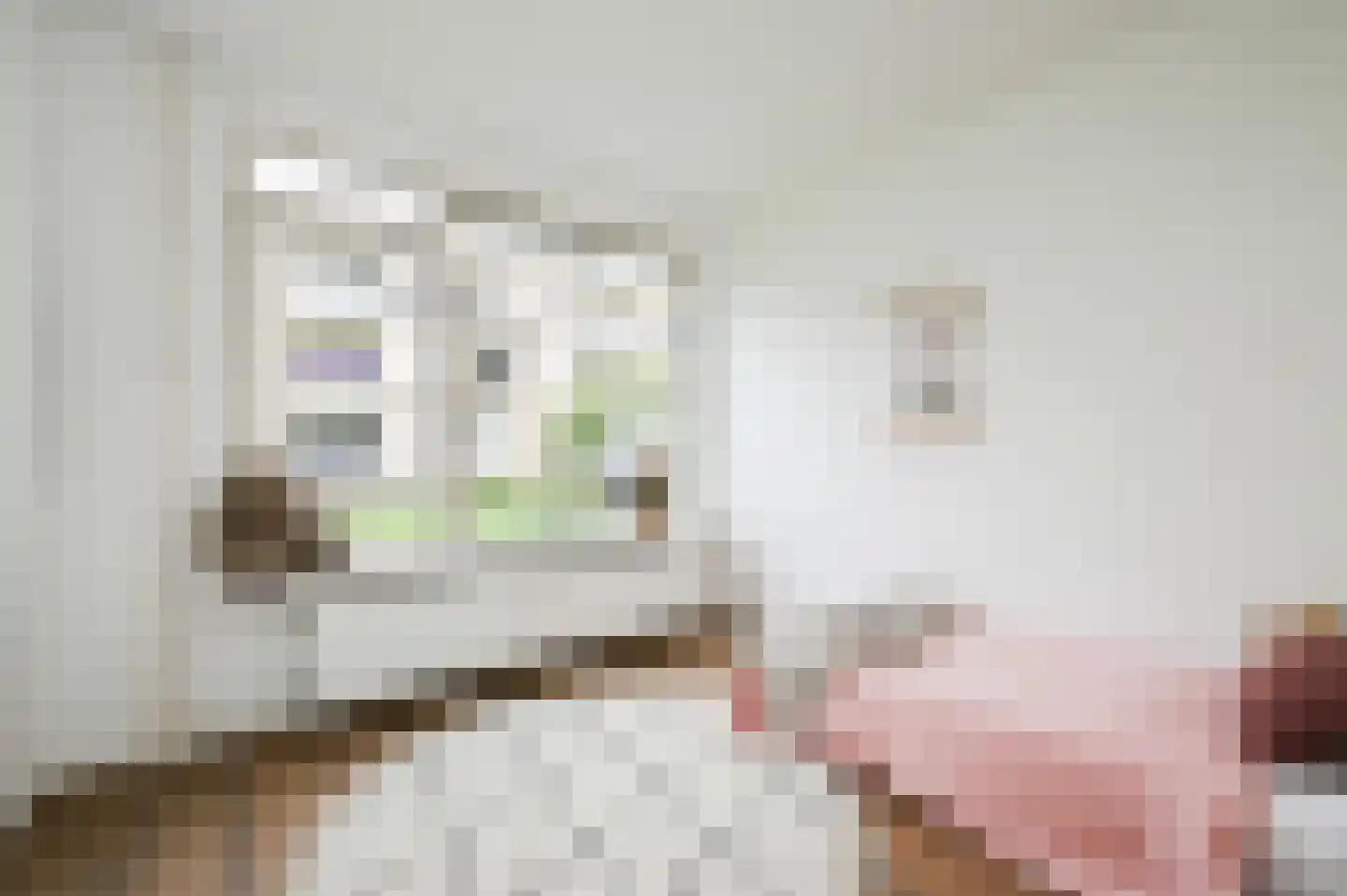 Aart van der Leeuwkade 30 Voorburg thumbnail 25