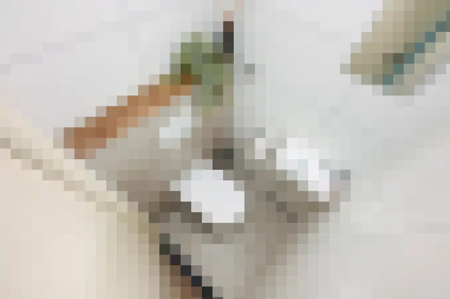 Aart van der Leeuwkade 30 Voorburg thumbnail 27
