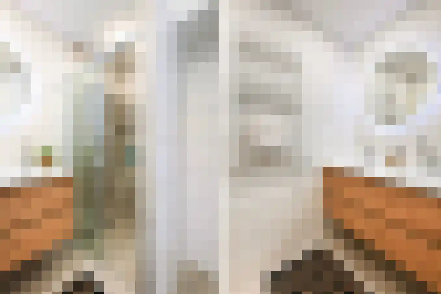 Aart van der Leeuwkade 30 Voorburg thumbnail 29