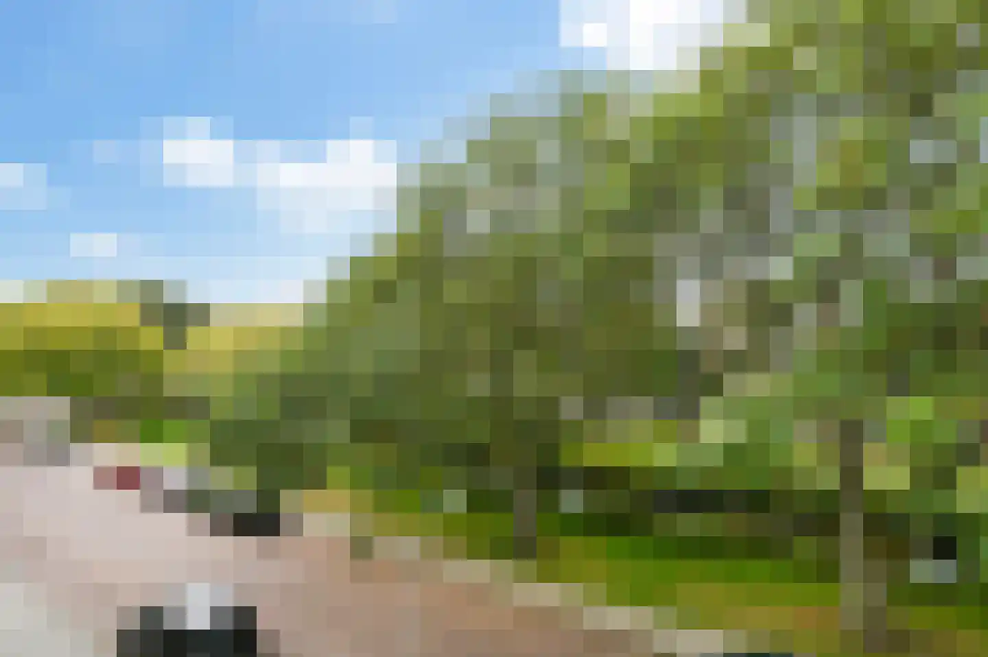 Aart van der Leeuwkade 36 Voorburg thumbnail 17