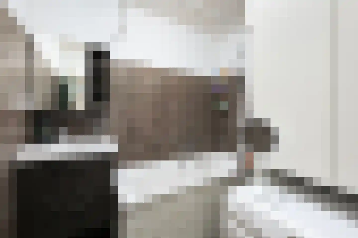 Aart van der Leeuwkade 36 Voorburg thumbnail 22