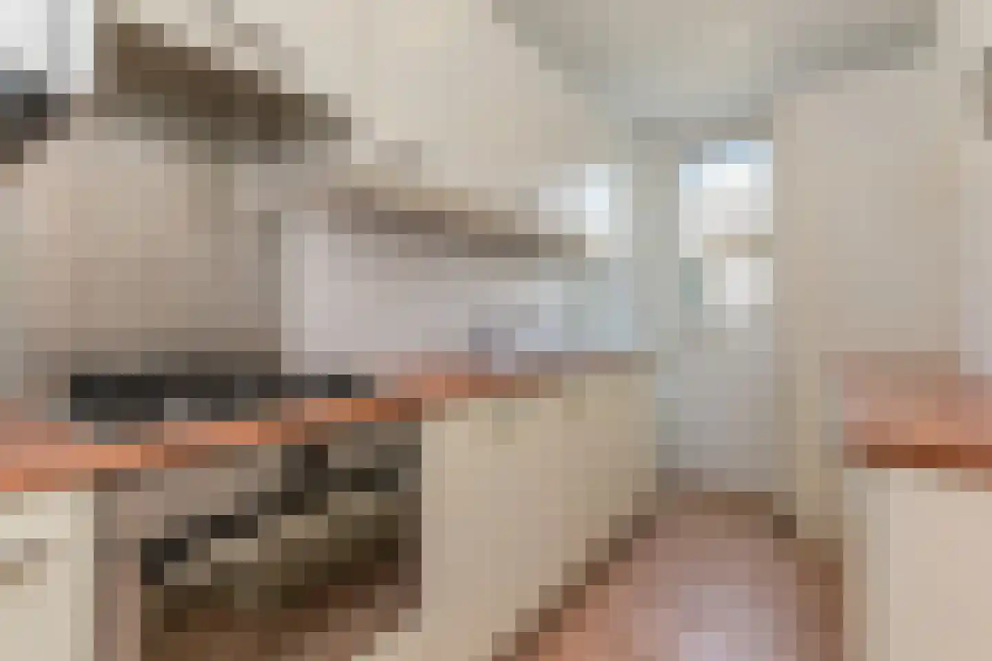 Aart van der Leeuwkade 53 Voorburg thumbnail 18