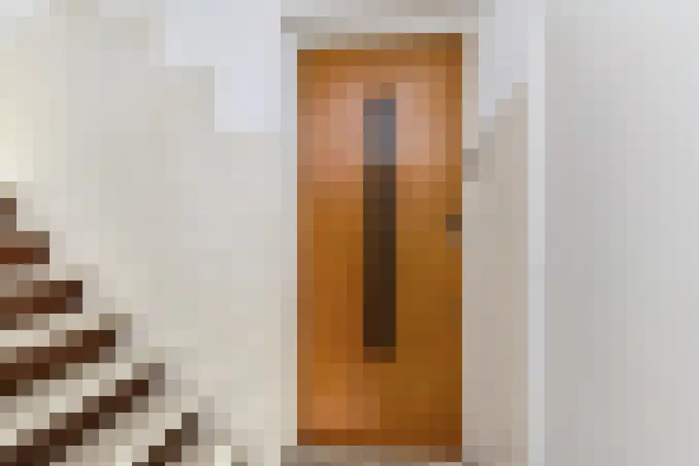 Aart van der Leeuwkade 53 Voorburg thumbnail 29