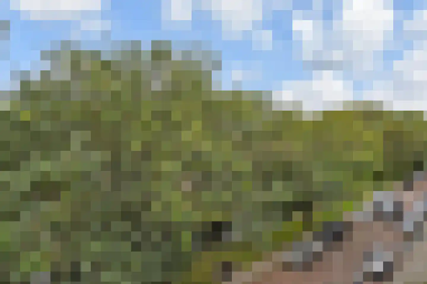 Aart van der Leeuwkade 75 Voorburg thumbnail 17