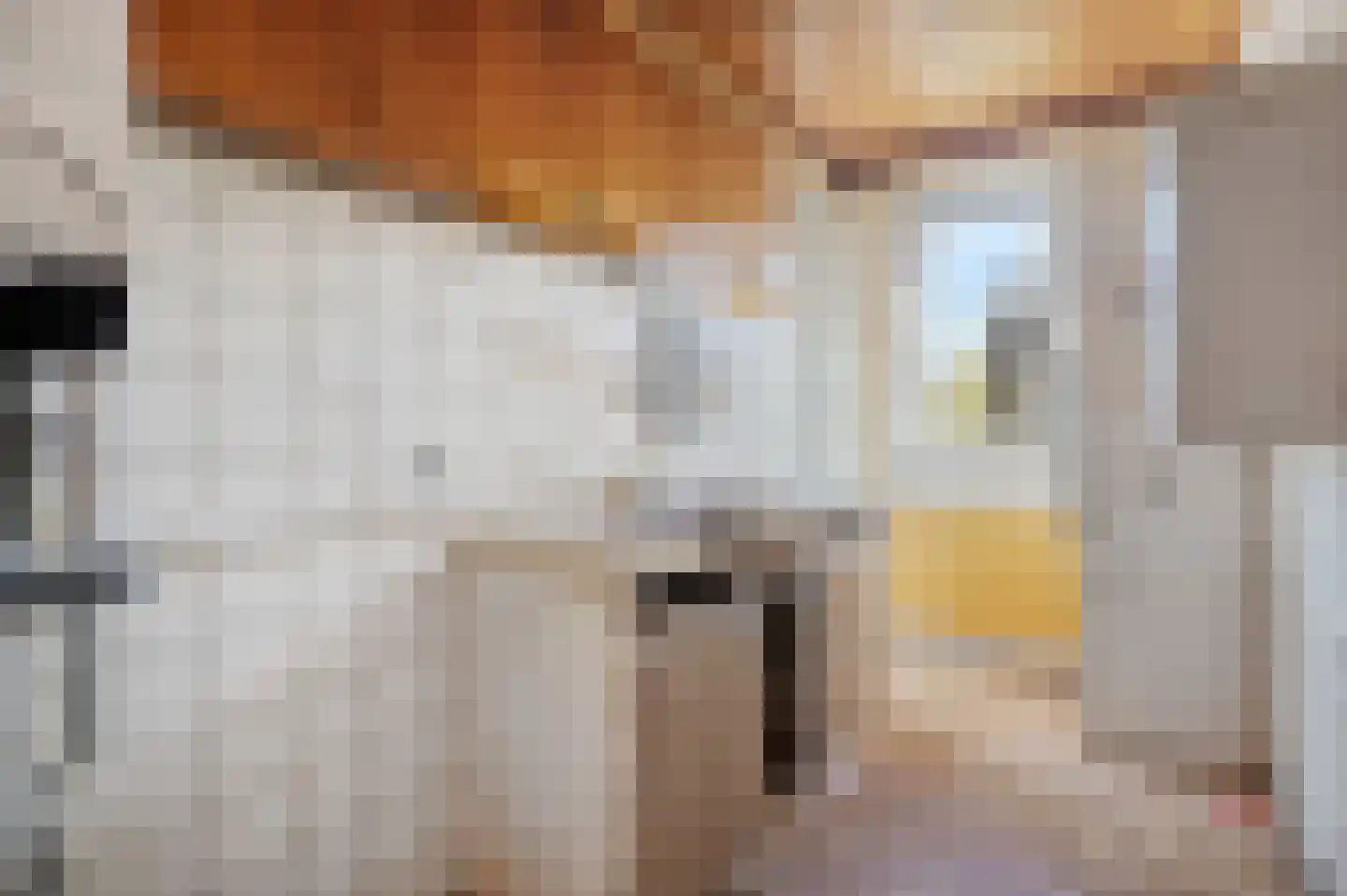 Aart van der Leeuwkade 77 Voorburg thumbnail 16