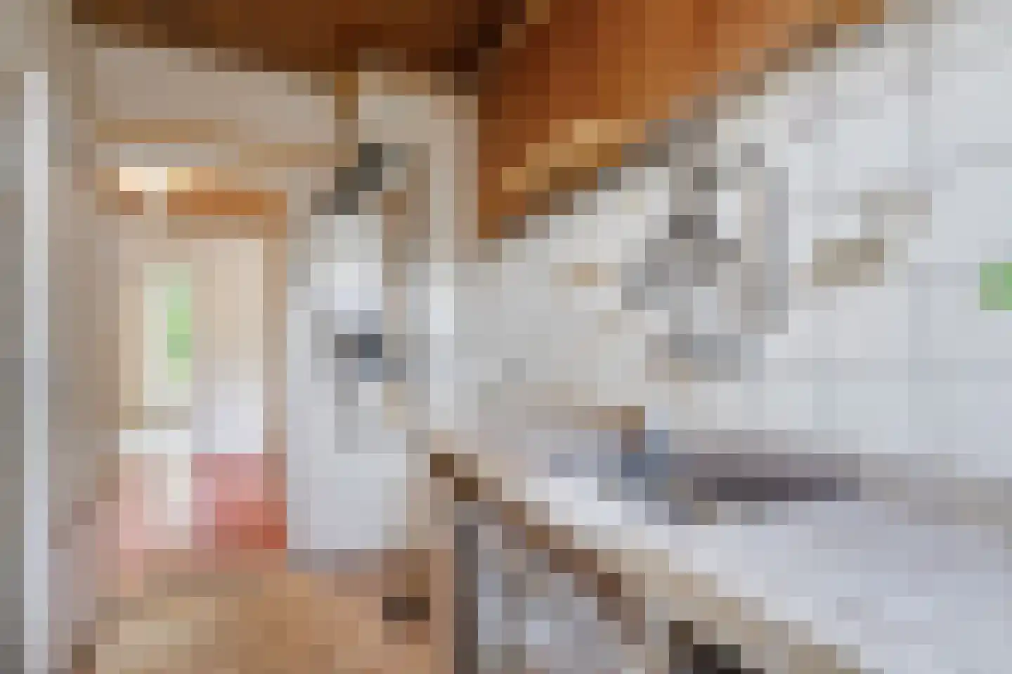 Aart van der Leeuwkade 77 Voorburg thumbnail 17