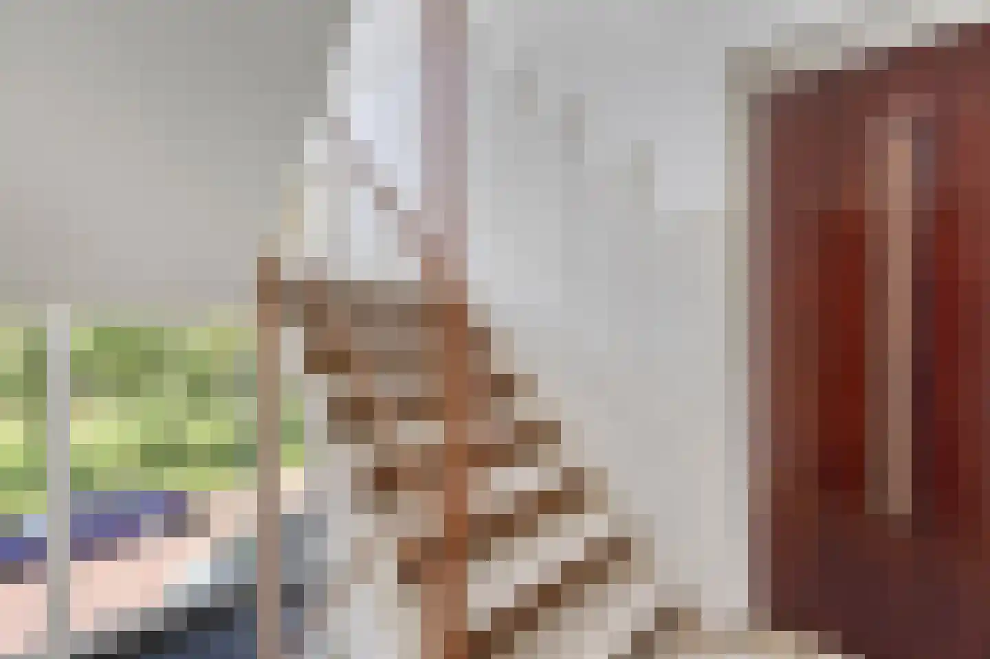Aart van der Leeuwkade 77 Voorburg thumbnail 5