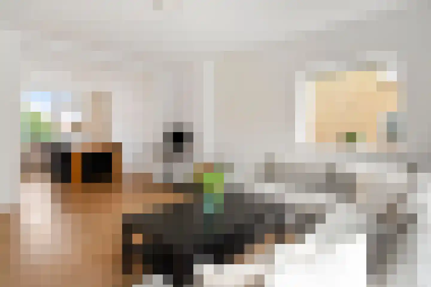 Aart van der Leeuwkade 81 Voorburg thumbnail 5