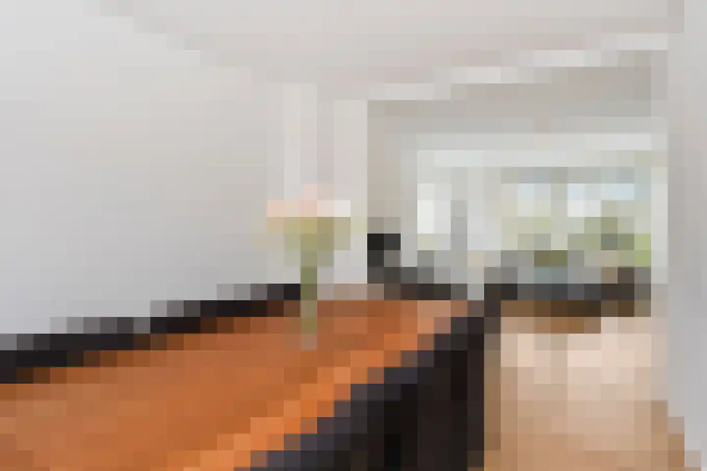 Aart van der Leeuwkade 81 Voorburg thumbnail 7
