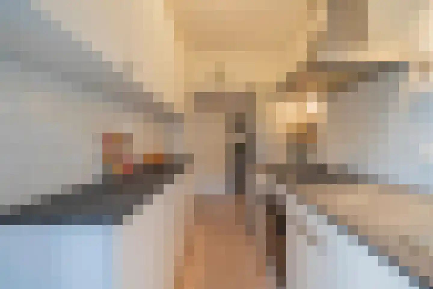 Aart van der Leeuwkade 95 Voorburg thumbnail 20