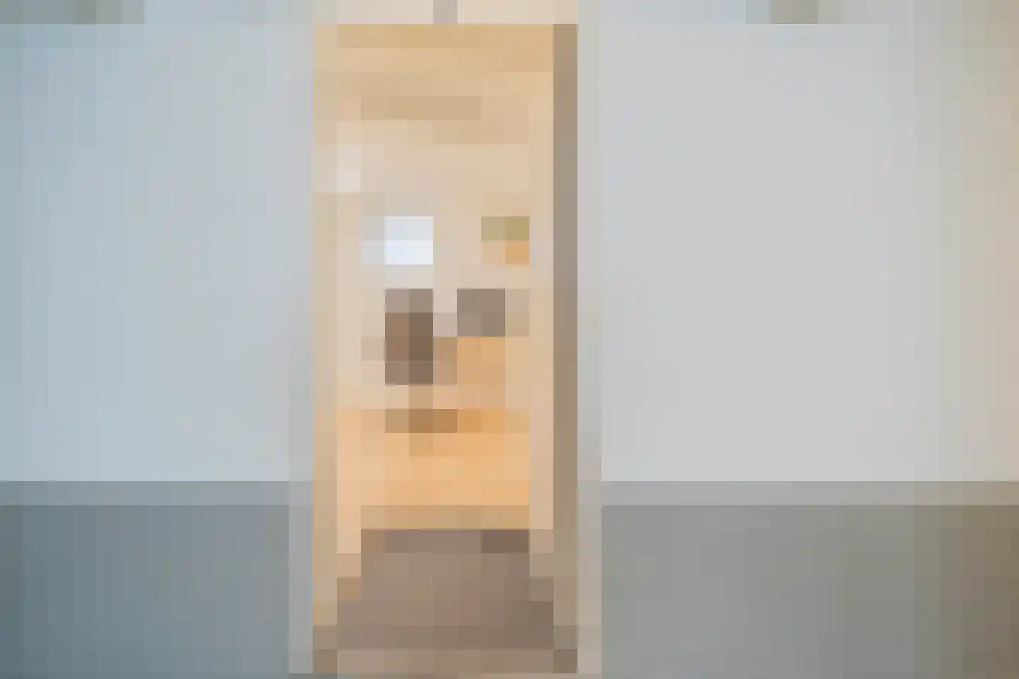 Aart van der Leeuwkade 95 Voorburg thumbnail 34