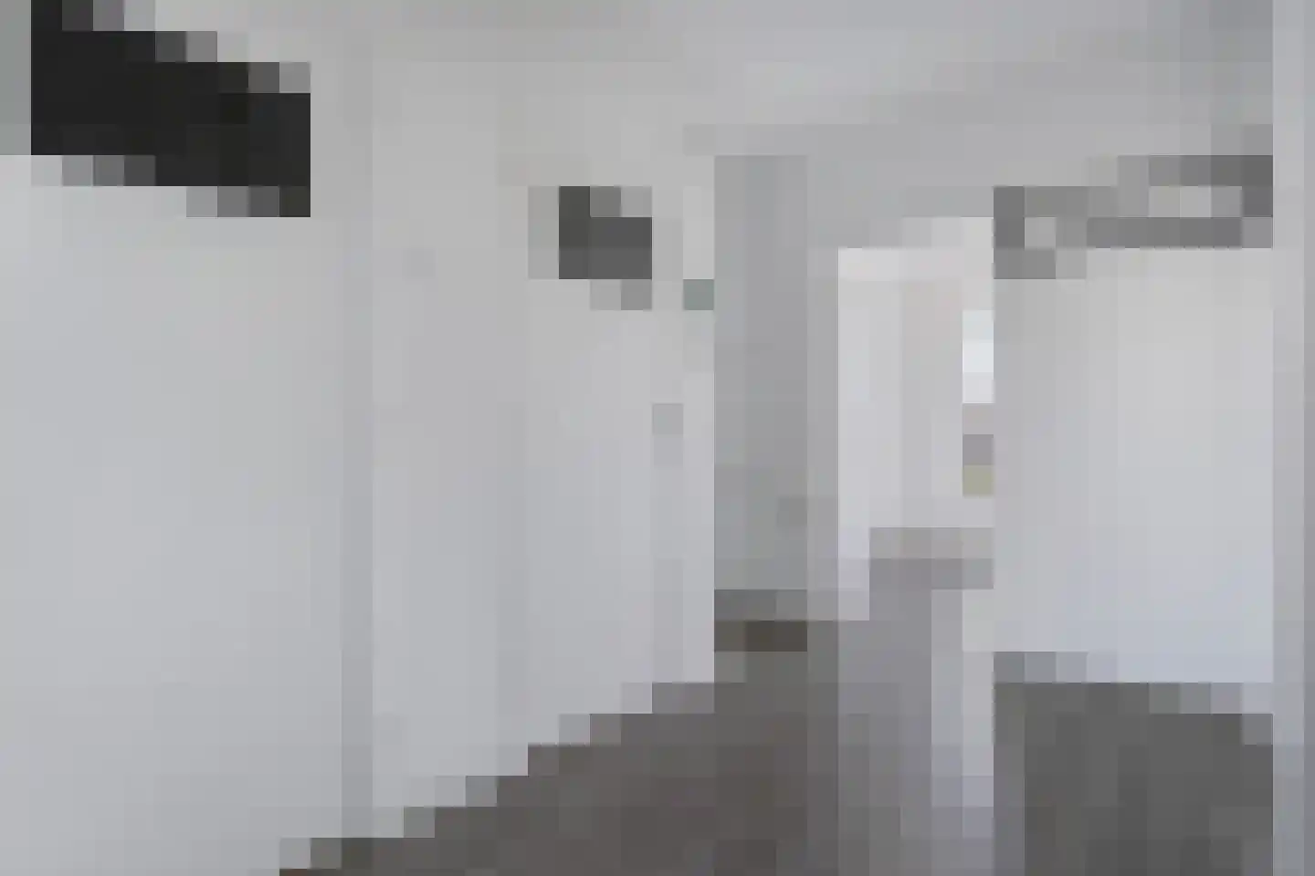 Aart van der Leeuwkade 99 Voorburg thumbnail 14