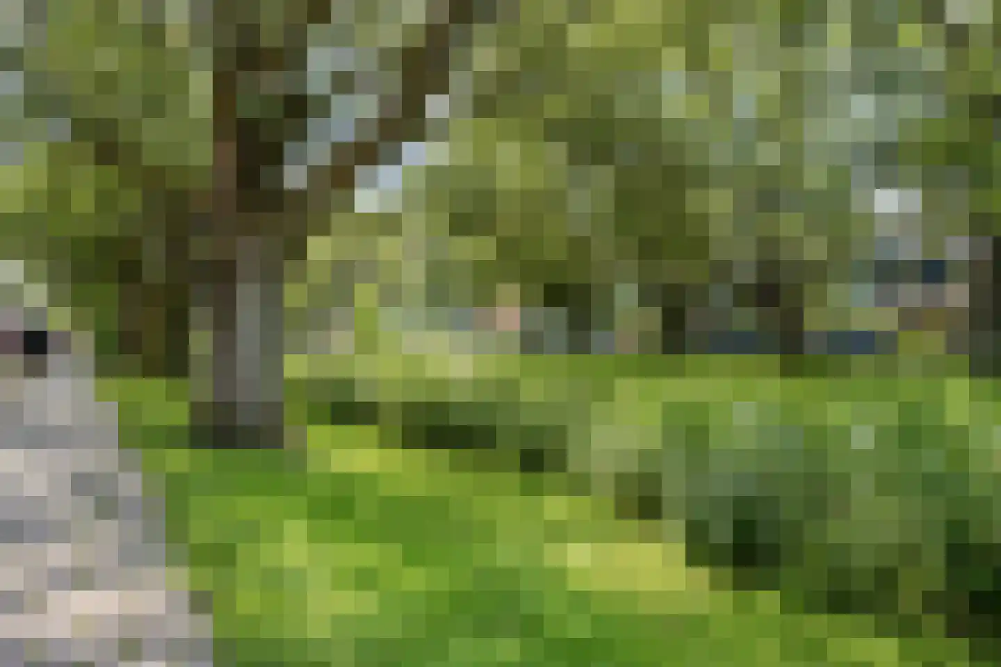 Aart van der Leeuwkade 99 Voorburg thumbnail 25