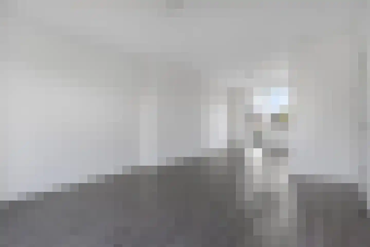 Aart van der Leeuwkade 99 Voorburg thumbnail 7