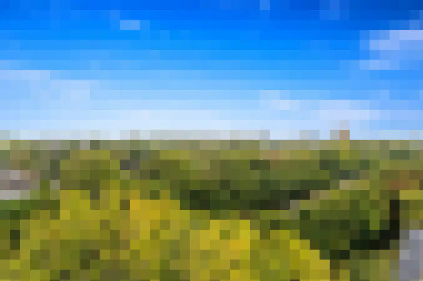 Aart van der Leeuwlaan 1004 Delft thumbnail 22