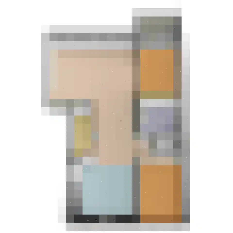 Aart van der Leeuwlaan 1004 Delft thumbnail 30