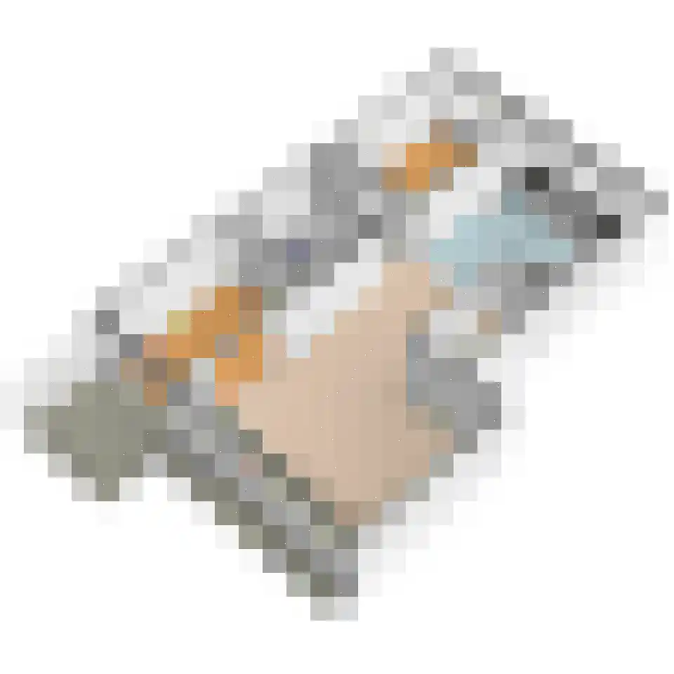 Aart van der Leeuwlaan 1004 Delft thumbnail 32