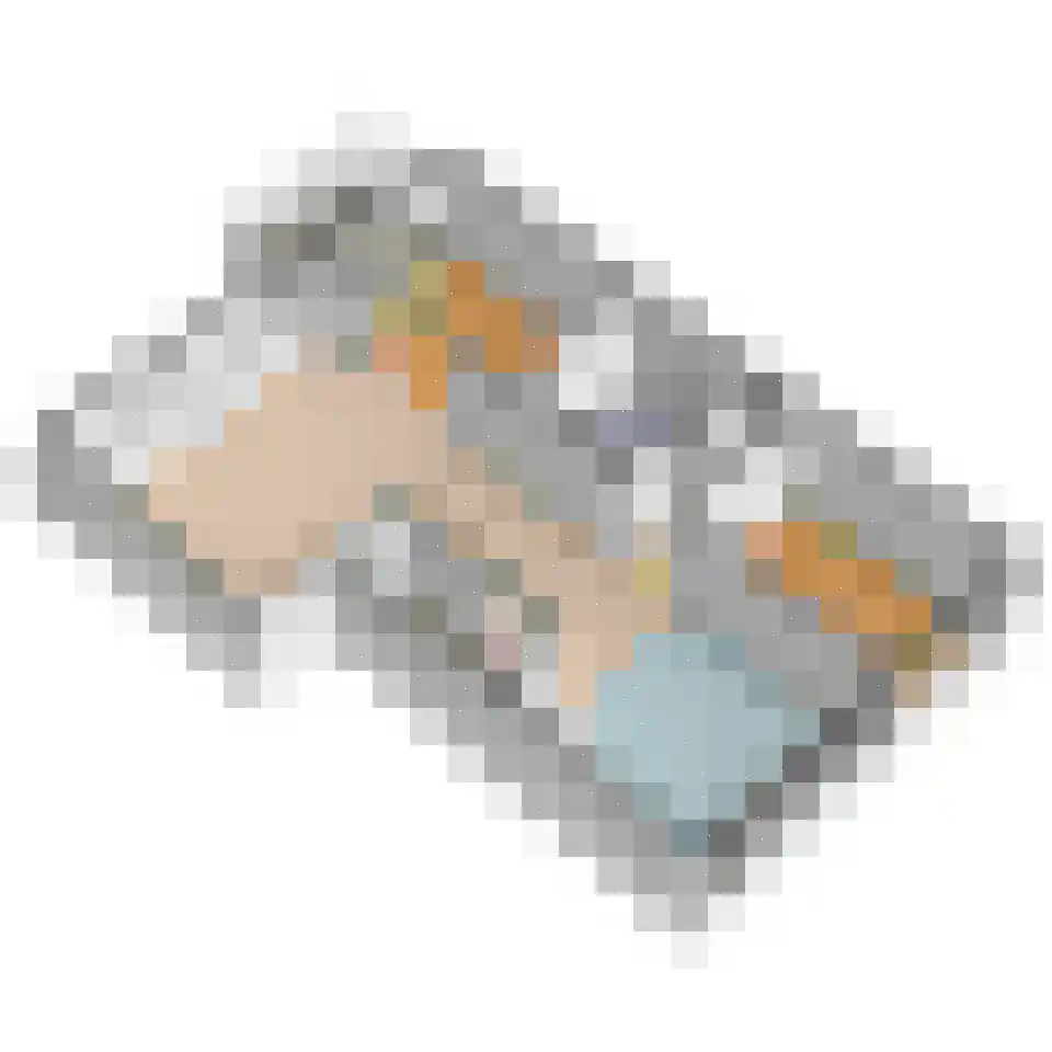 Aart van der Leeuwlaan 1004 Delft thumbnail 33
