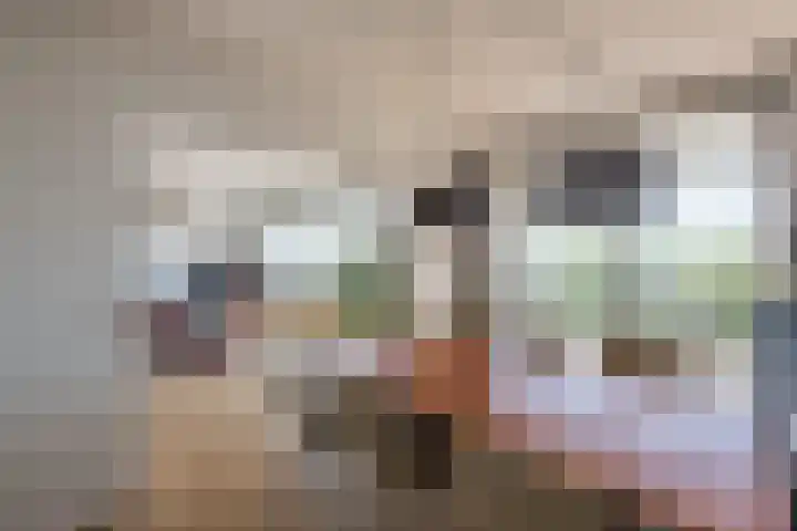 Aart van der Leeuwlaan 104 Delft thumbnail 14