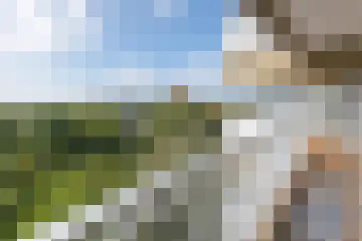 Aart van der Leeuwlaan 104 Delft thumbnail 16