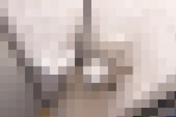 Aart van der Leeuwlaan 104 Delft thumbnail 26