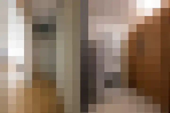 Aart van der Leeuwlaan 104 Delft thumbnail 28