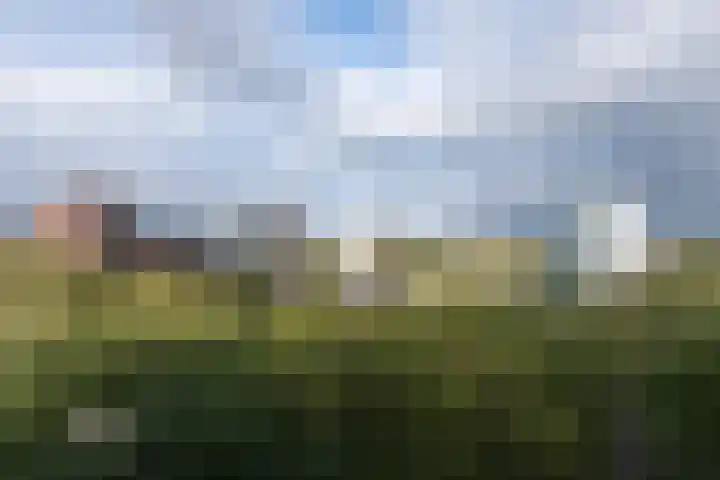 Aart van der Leeuwlaan 104 Delft thumbnail 30