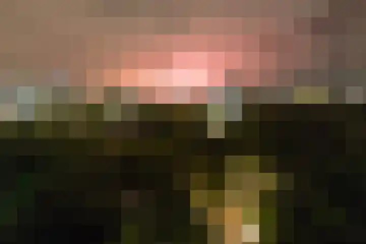 Aart van der Leeuwlaan 104 Delft thumbnail 32