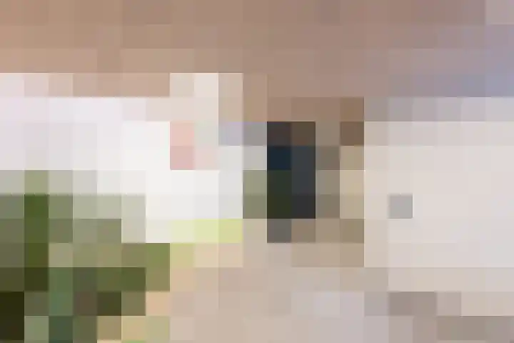 Aart van der Leeuwlaan 104 Delft thumbnail 8