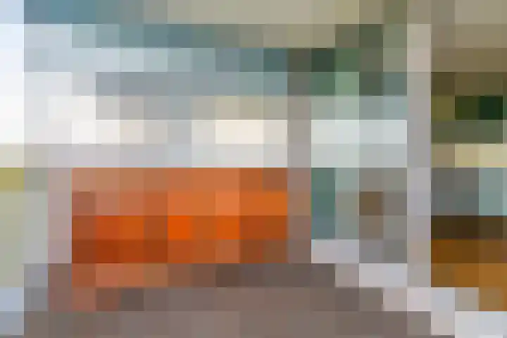 Aart van der Leeuwlaan 1048 Delft thumbnail 12