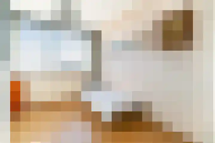 Aart van der Leeuwlaan 1048 Delft thumbnail 22