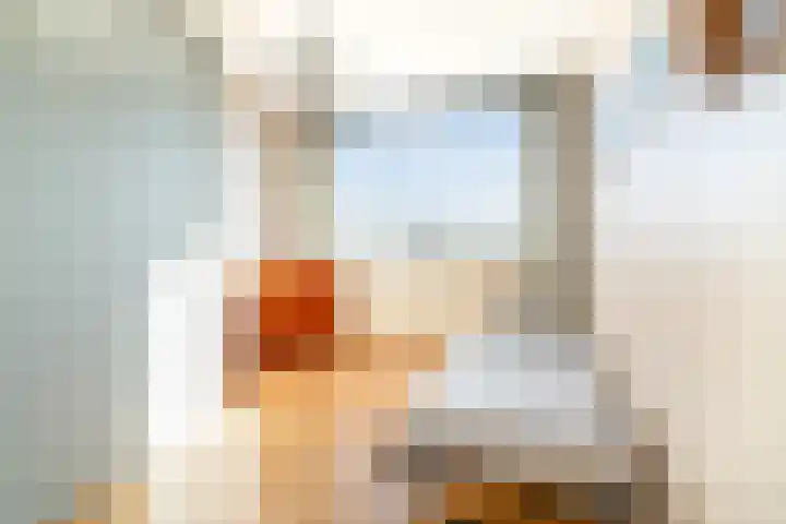 Aart van der Leeuwlaan 1048 Delft thumbnail 23