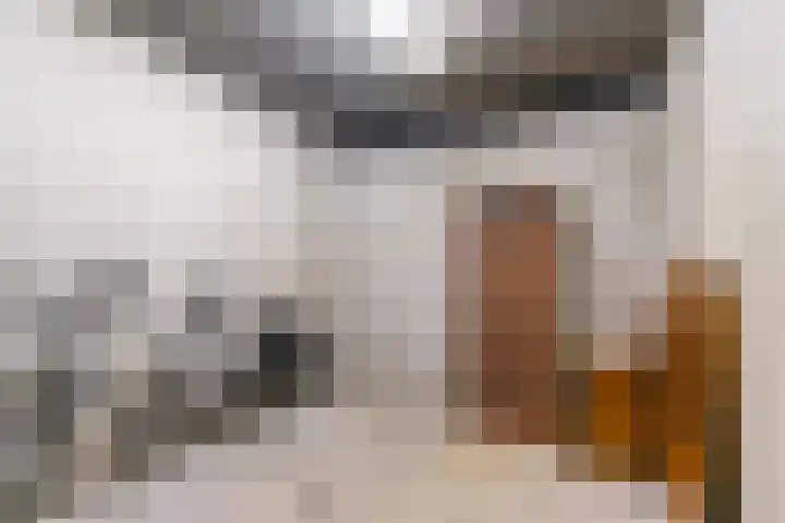 Aart van der Leeuwlaan 1048 Delft thumbnail 29