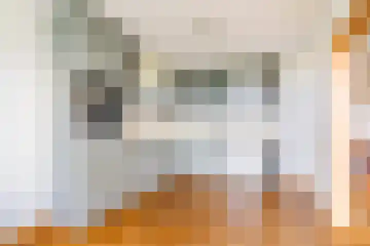 Aart van der Leeuwlaan 1048 Delft thumbnail 5